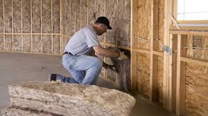 Types of Insulation We Offer in Lake Kerr, FL